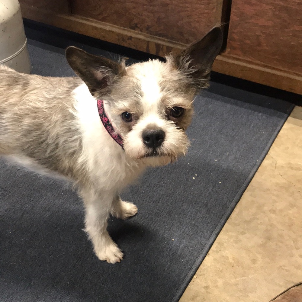 Meet your Posher, Scott